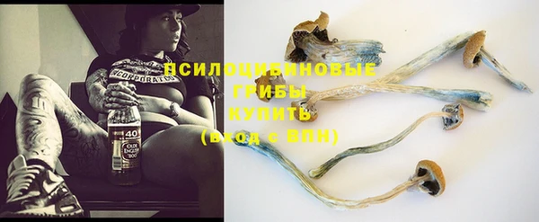 jwh Арсеньев