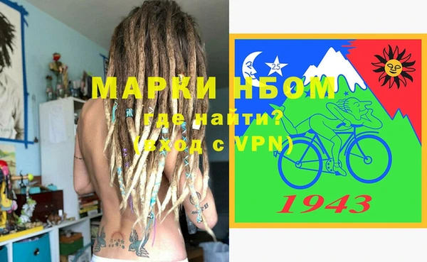 сатива Волоколамск