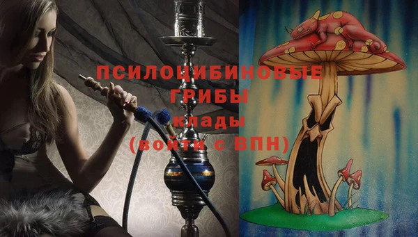 ALPHA-PVP Дмитров